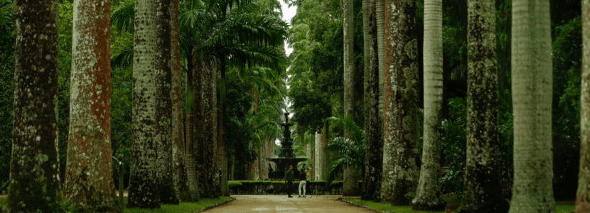 Concurso Jardim Botânico RJ terá pedido enviado ainda este ano