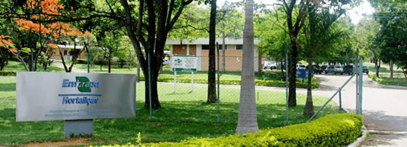 Novo concurso Embrapa será aberto em breve