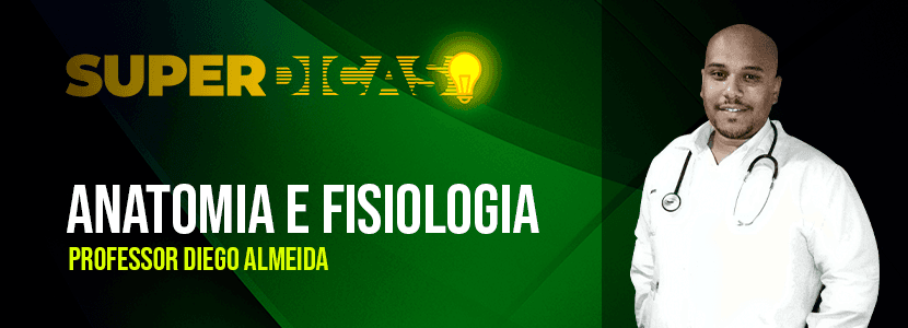Concurso PC-RJ: veja dicas de Anatomia e Fisiologia Humanas