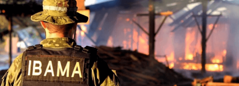 Concurso Ibama: órgão pode ter menos de 50% servidores em 2022