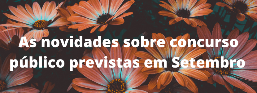 Concursos em Setembro: veja o que esse mês reserva!