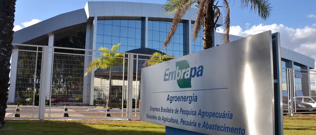 Concurso Embrapa: presidente da empresa volta a confirmar novo certame