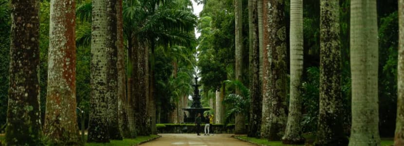 Concurso Jardim Botânico RJ: pedido é retificado e aumenta oferta de vagas