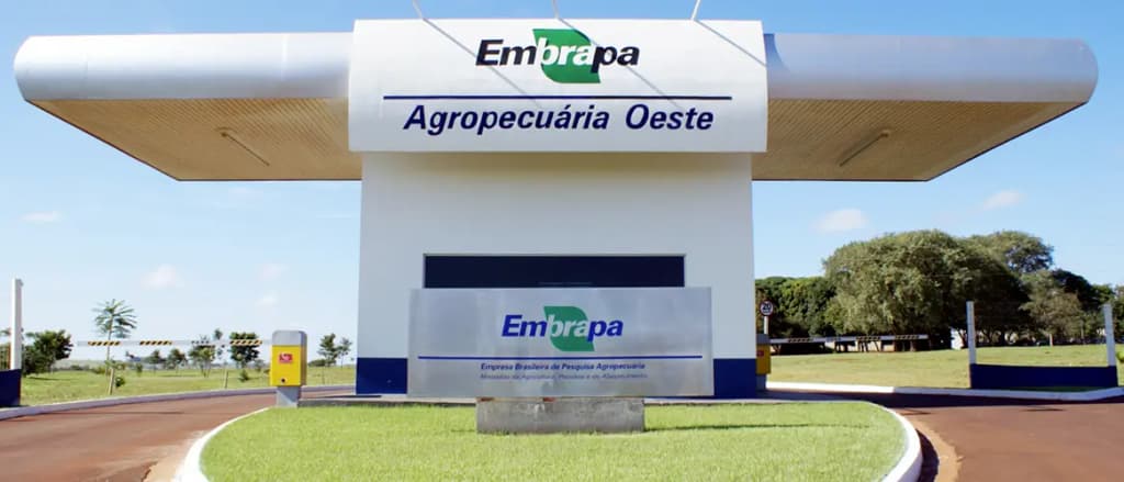 Concurso Embrapa: definida distribuição das 1.027 vagas. Confira!