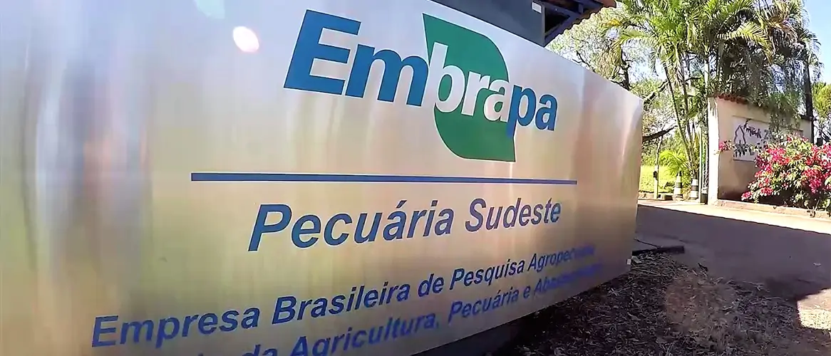 Concurso Embrapa: nova retificação altera requisitos e programas